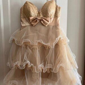 BG Haute Tulle Dress